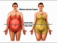 Типы фигуры Типы фигуры