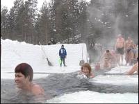 моржи моржи